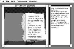 Ray's Maze screenshot #1